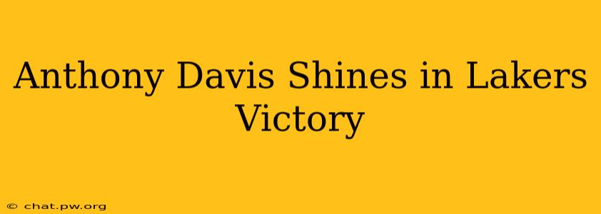 Anthony Davis Shines In Lakers Victory