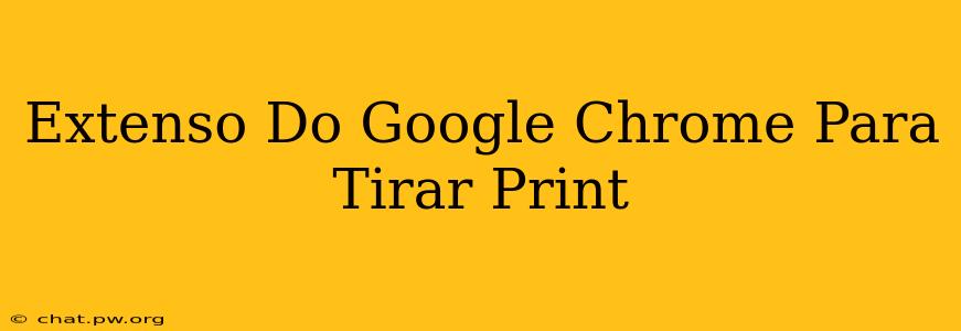 Extenso Do Google Chrome Para Tirar Print