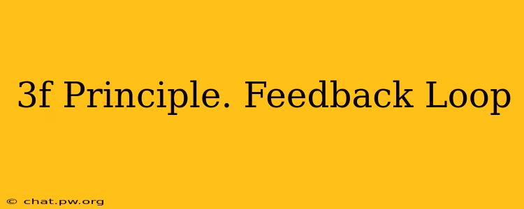 3f Principle. Feedback Loop