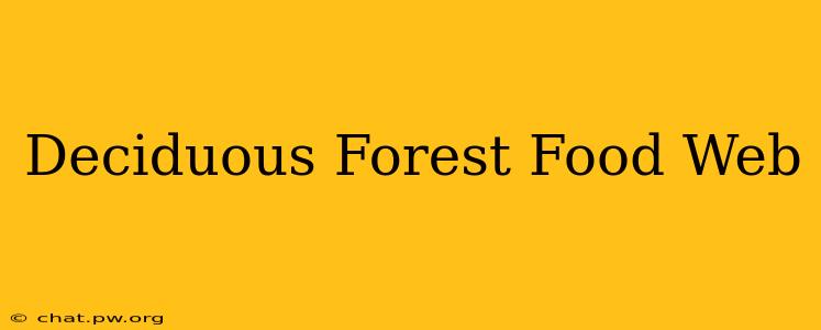 Deciduous Forest Food Web