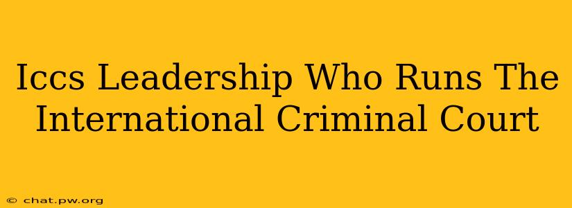 Iccs Leadership Who Runs The International Criminal Court