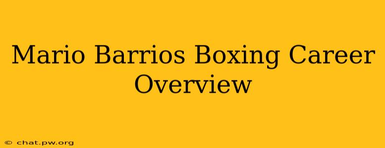 Mario Barrios Boxing Career Overview