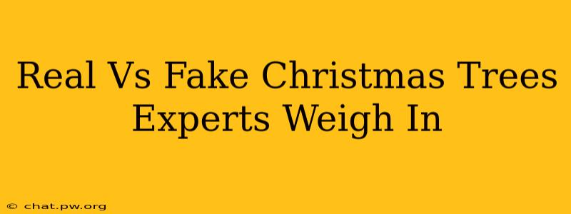 Real Vs Fake Christmas Trees Experts Weigh In